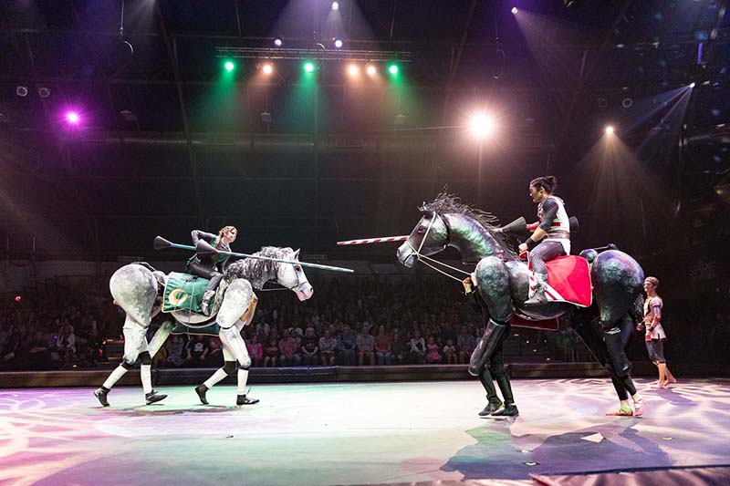 Circus horses