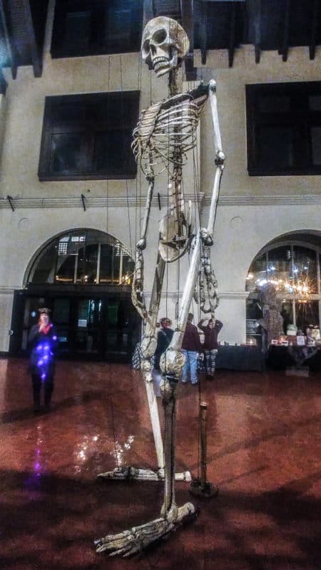 Virgil 24 lutter gardella