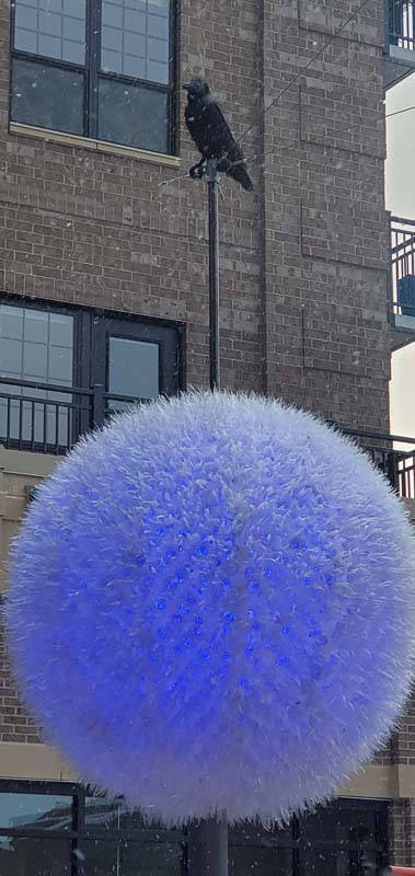 Wondrous Whirling Orb