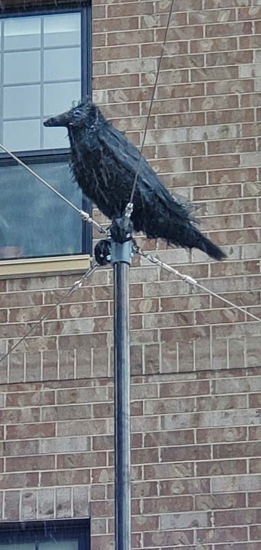 Wondrous Whirling Orb