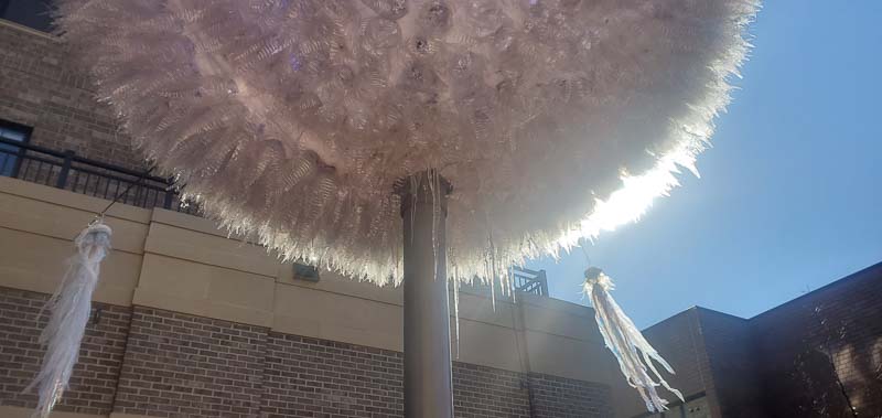 Wondrous Whirling Orb