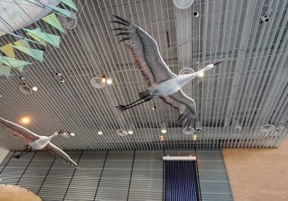 Cranes above-1 Cranes above-1