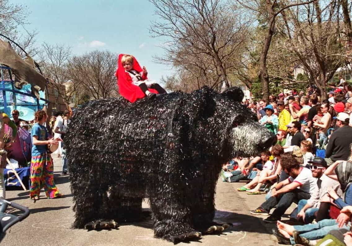 black-bear-smaller-lutter-gardella