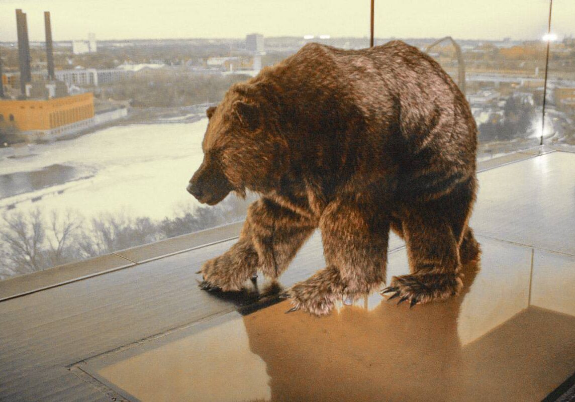 guthrie-grizzly-9-lutter-gardella