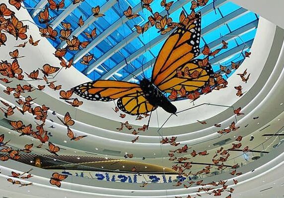 kaleidoscope-christopher-lutter-monarchs-in-place-c