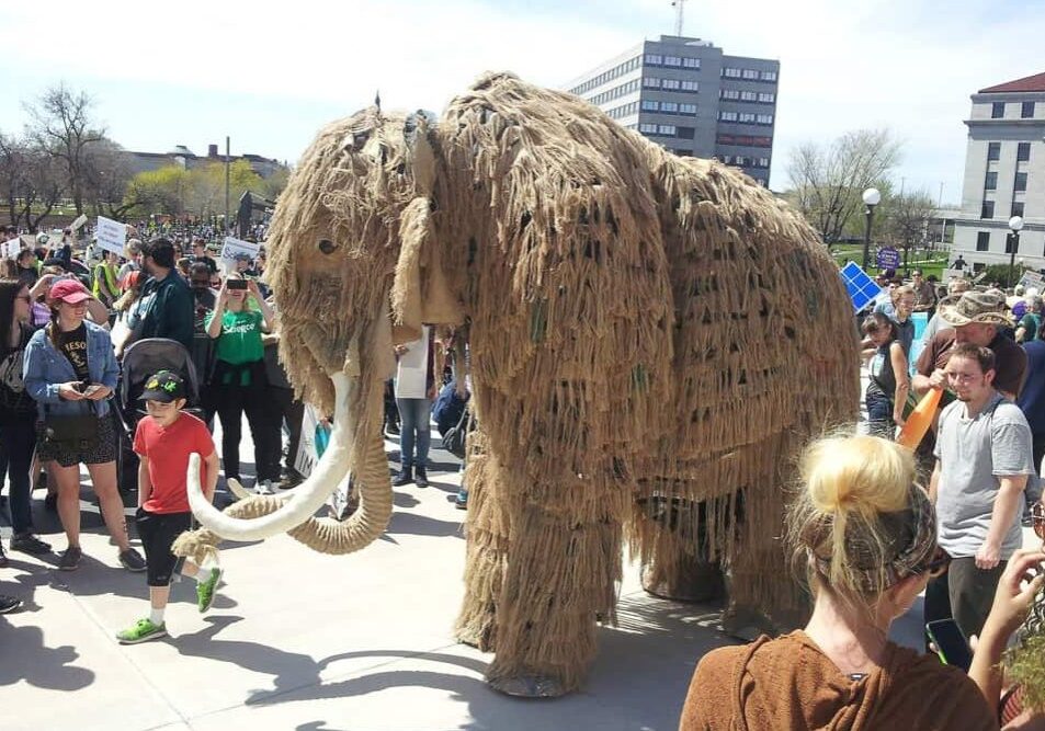 keke-mammoth-21-lutter-gardella