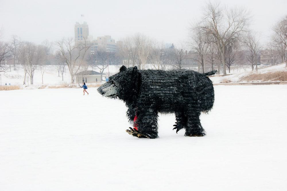 Bear 1641 lutter gardella