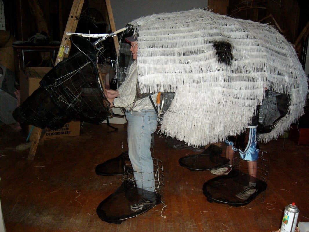 Black bear in progress lutter gardella