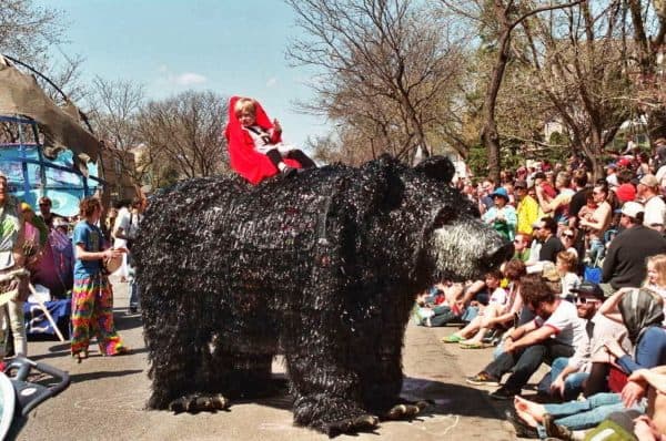 Black bear smaller lutter gardella