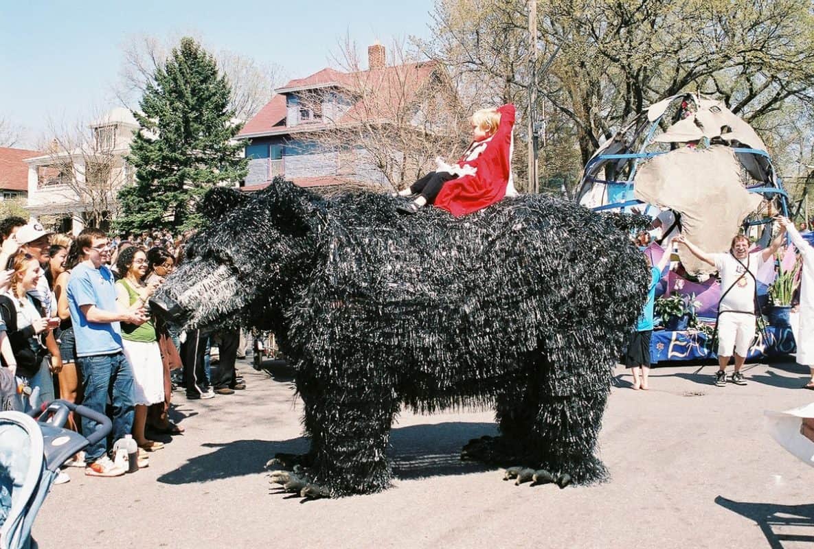 Black bear x lutter gardella