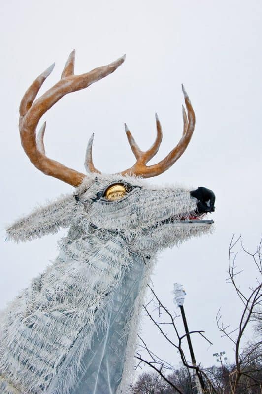 Deer 1696 lutter gardella