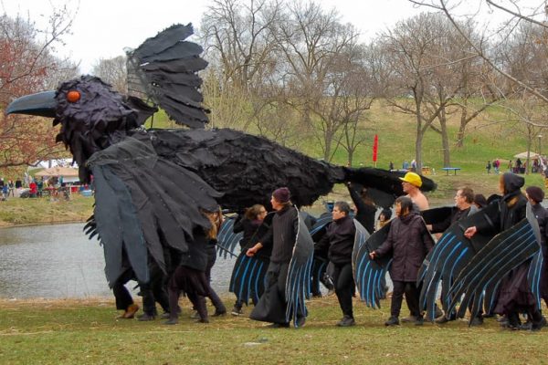 Dreaming crow lutter gardella