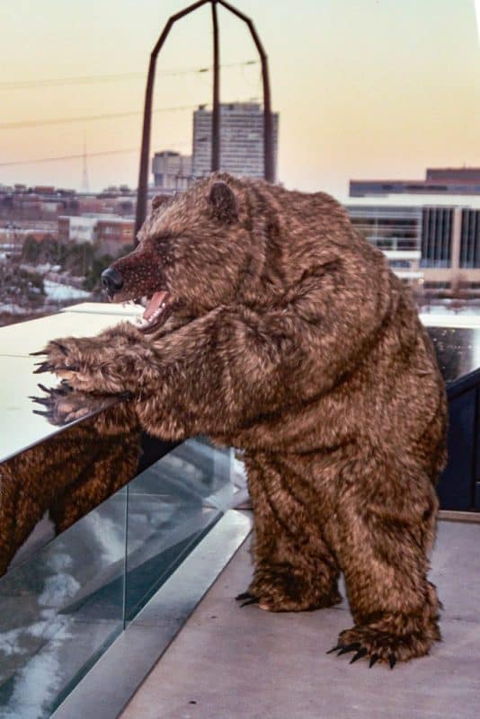 Guthrie grizzly 1 lutter gardella