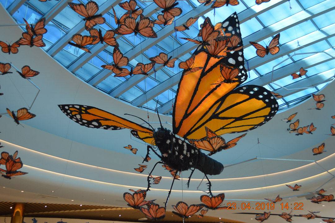 kaleidoscope-christopher-lutter-893