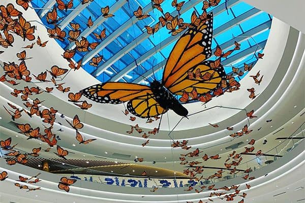 Kaleidoscope christopher lutter monarchs in place c