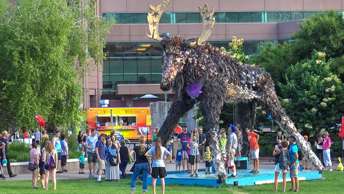 Mooz by Christopher Lutter-Gardella