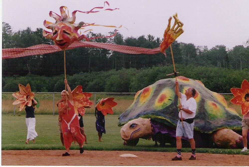 Turtle lutter gardella