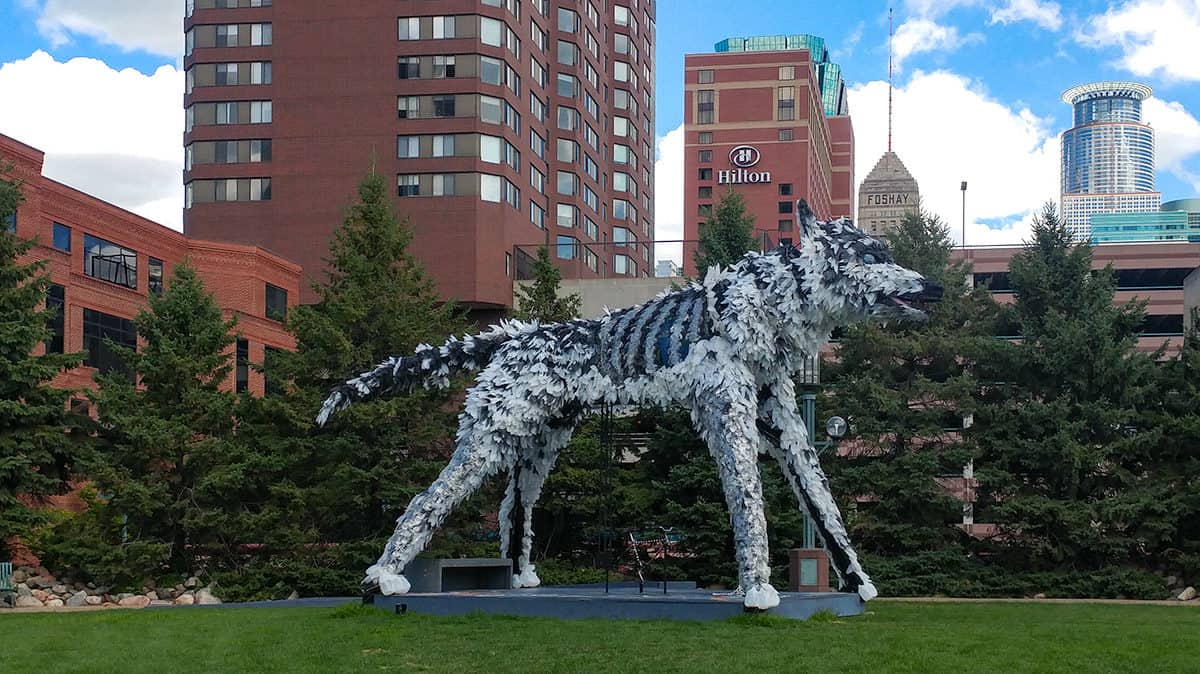 wolf by Christopher Lutter-Gardella