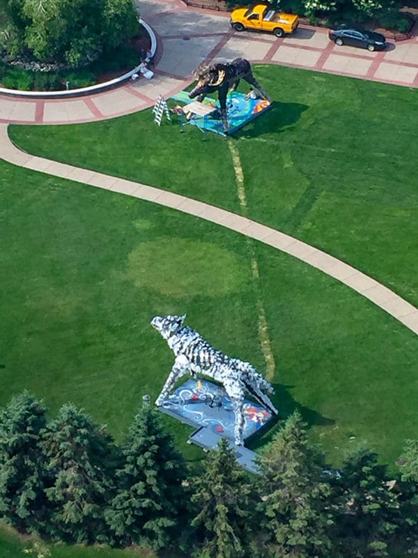 Wolf and mooz aerial lutter gardella