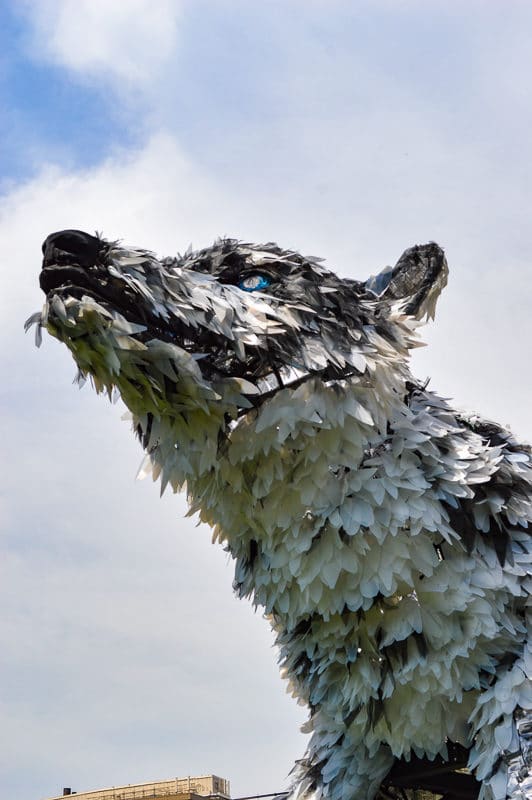 Wolf head 17 lutter gardella