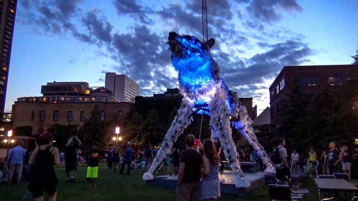 Wolf in blue lutter gardella