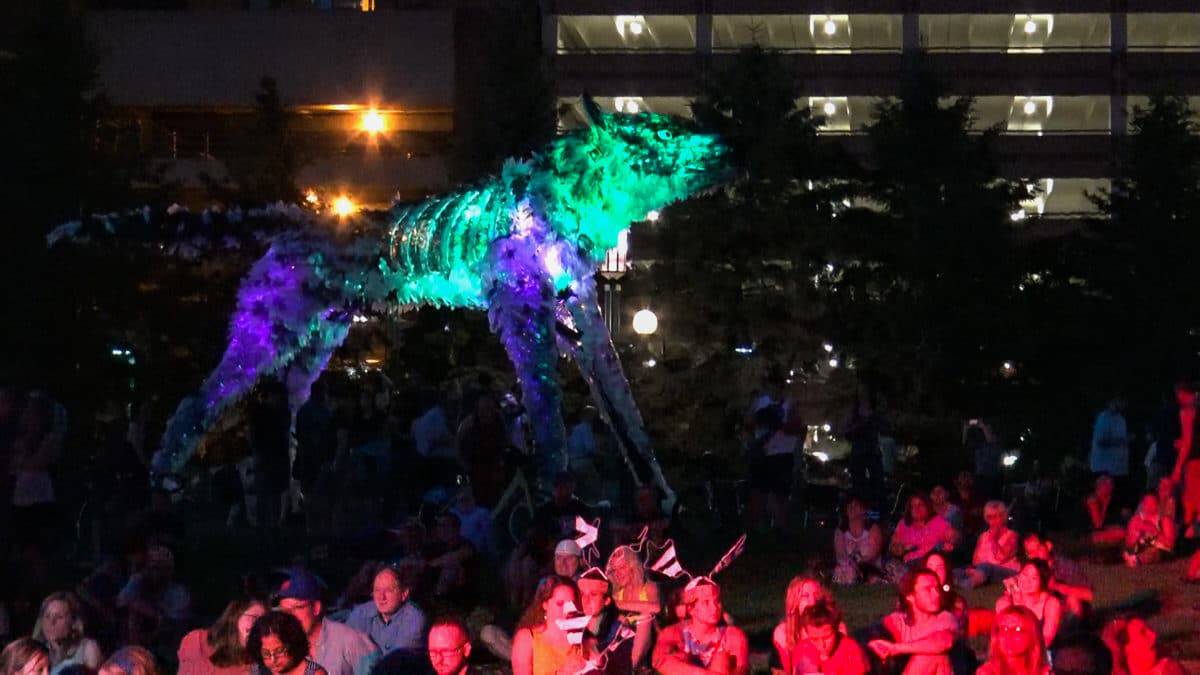 Wolf lit 29 lutter gardella